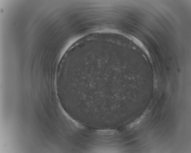 X0000062850863200601272040