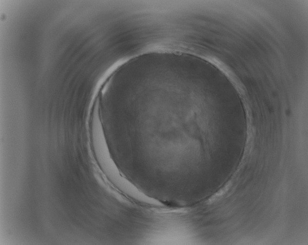 X0000062850864200601272040