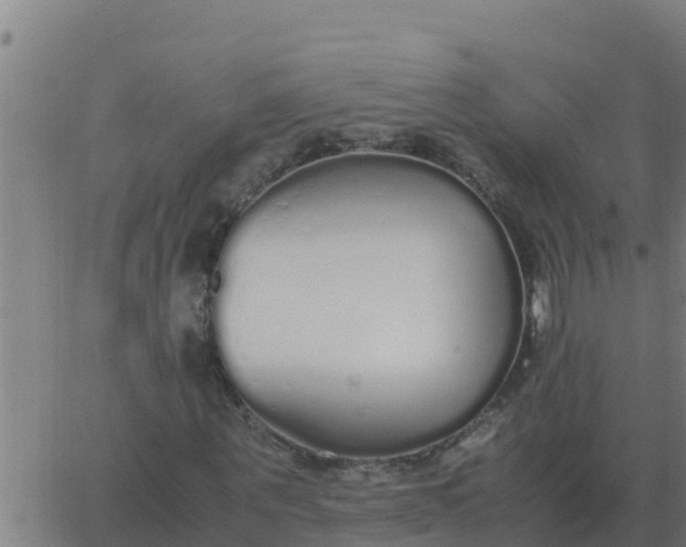 X0000062850867200601272039