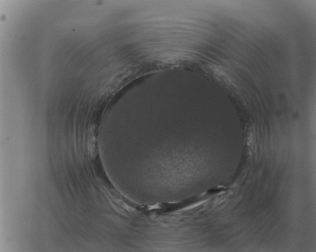 X0000062850868200601272039