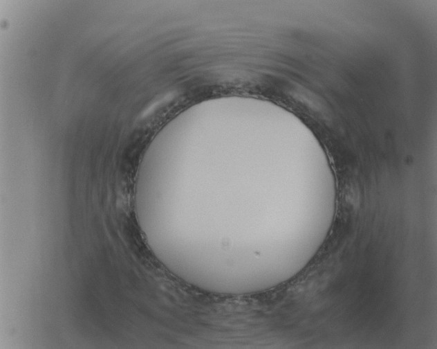 X0000062850869200601272039