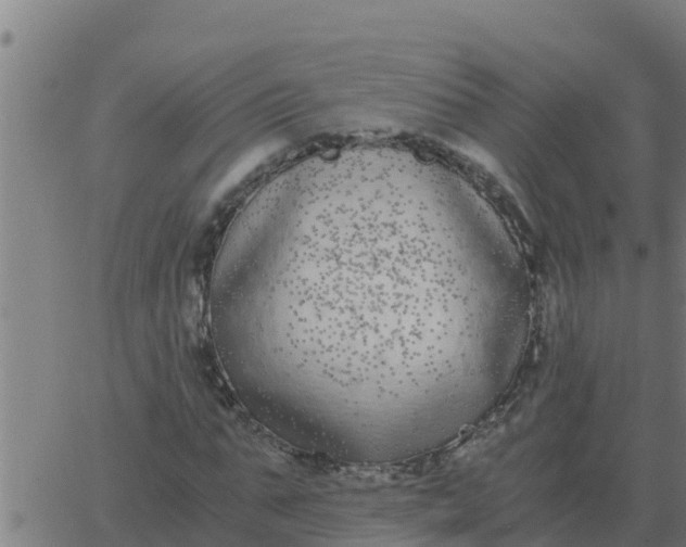 X0000062850871200601272039