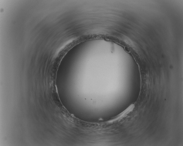 X0000062850872200601272039