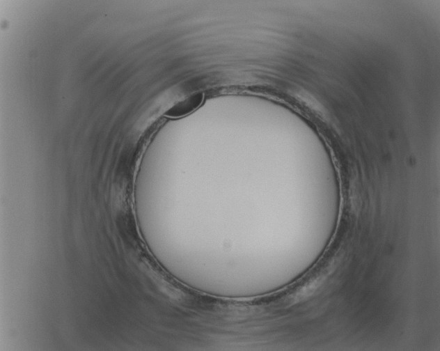 X0000062850873200601272039