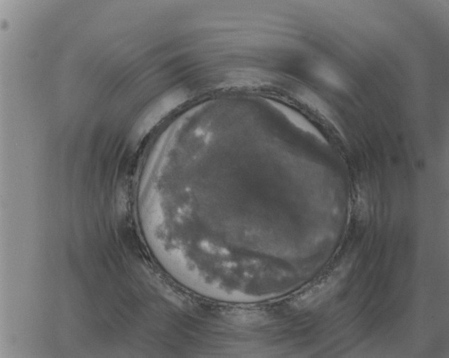 X0000062850874200601272039