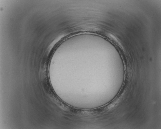 X0000062850875200601272039