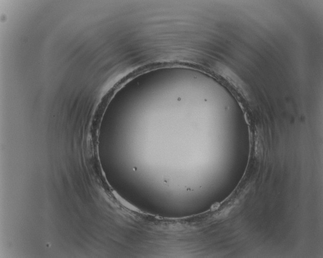 X0000062850876200601272039