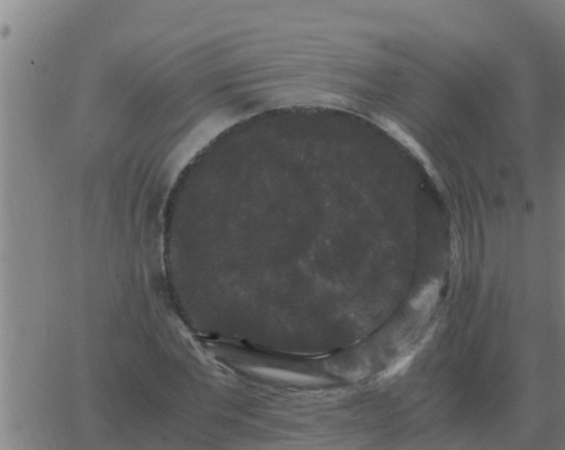 X0000062850877200601272039