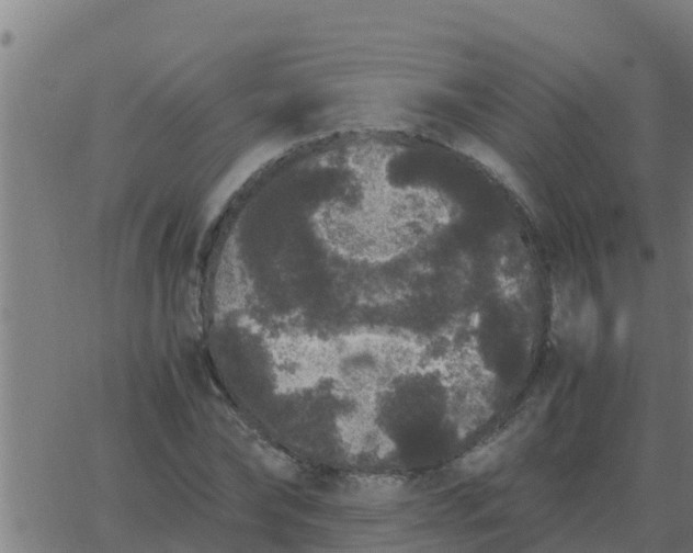 X0000062850878200601272039