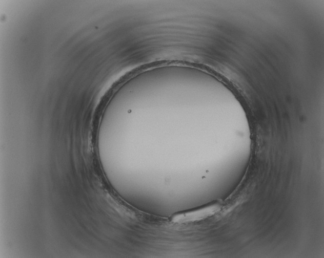 X0000062850880200601272039