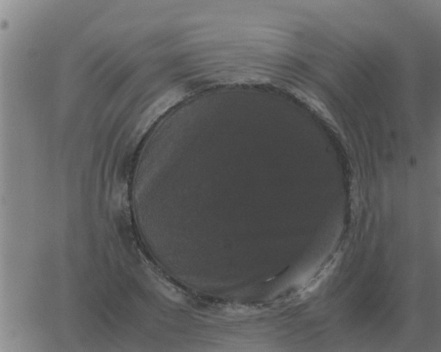 X0000062850881200601272038