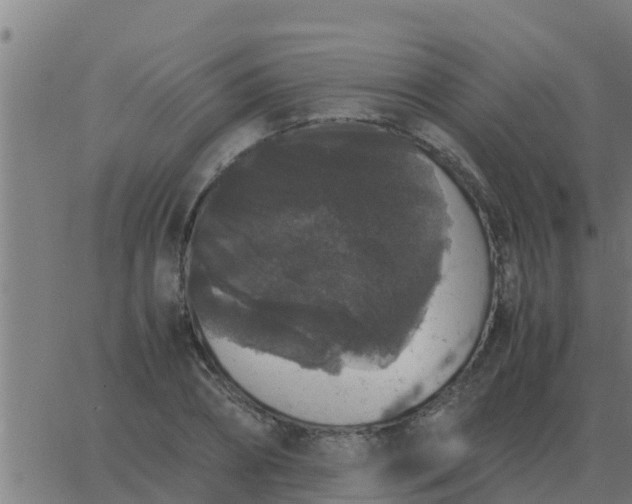 X0000062850882200601272038