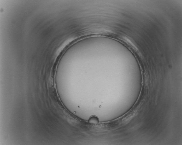 X0000062850883200601272038