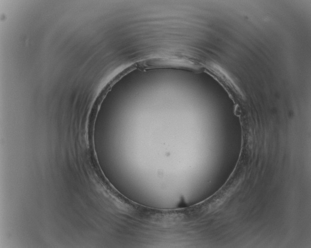 X0000062850884200601272038