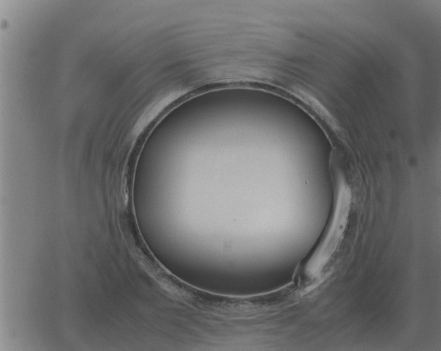 X0000062850885200601272038