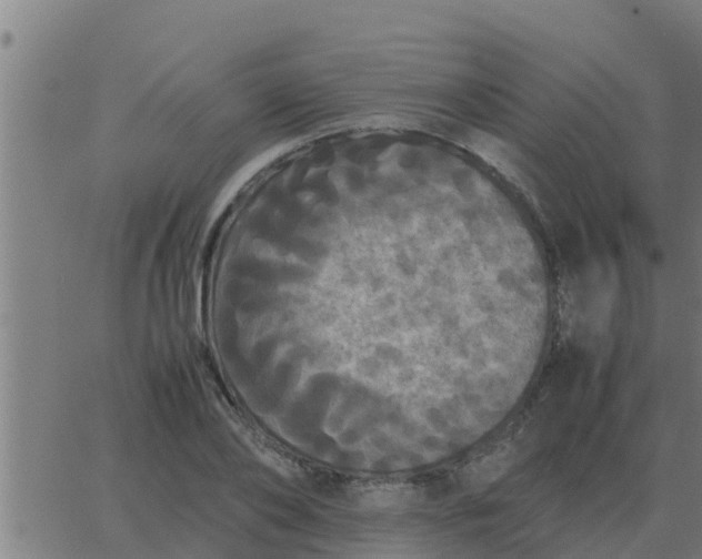 X0000062850886200601272038