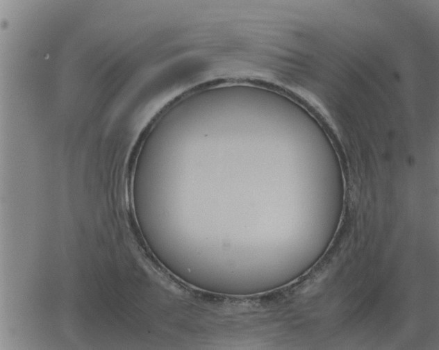 X0000062850887200601272038