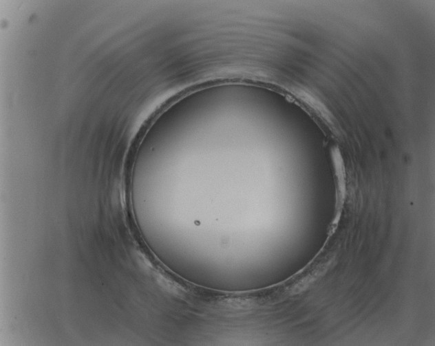 X0000062850888200601272038