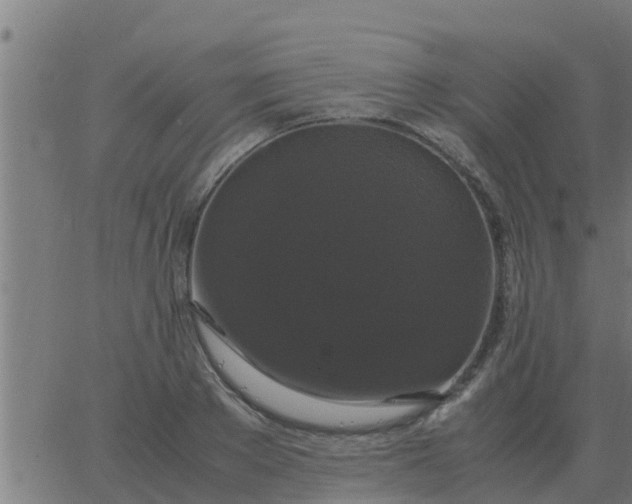 X0000062850889200601272038