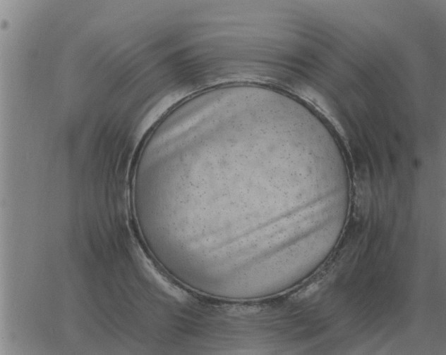 X0000062850890200601272038