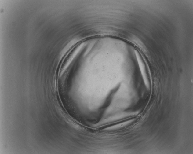 X0000062850891200601272038