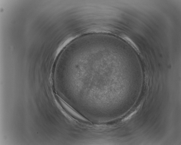 X0000062850893200601272038