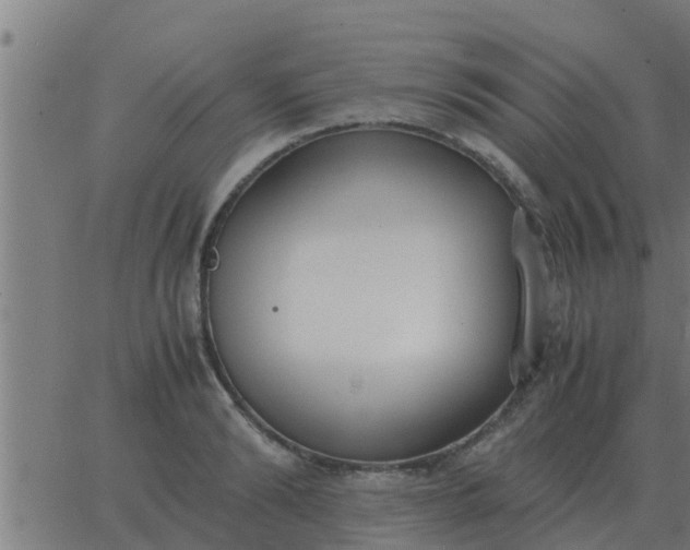 X0000062850894200601272038