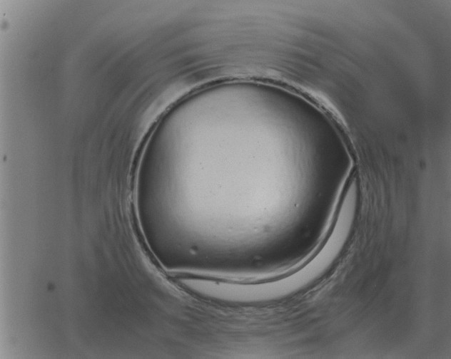 X0000062850895200601272038