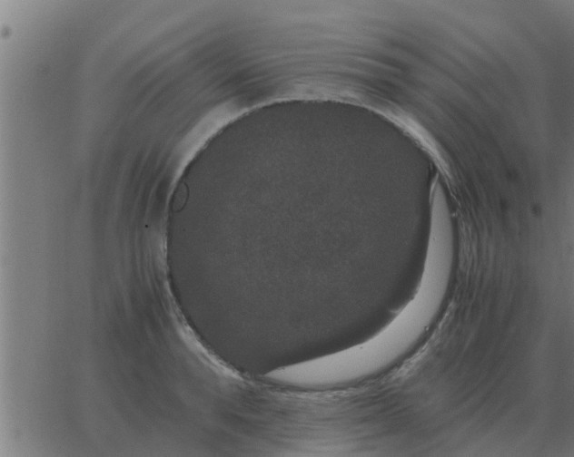 X0000062850896200601272038