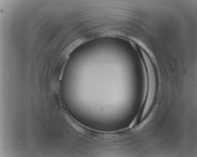 X0000062850897200601272038