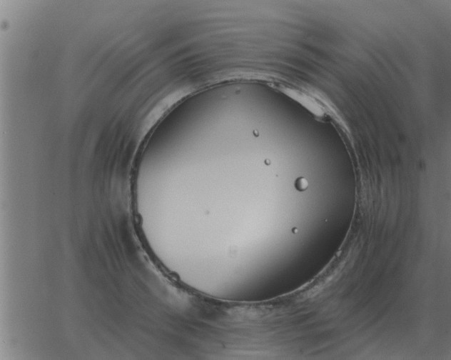 X0000062850898200601272038