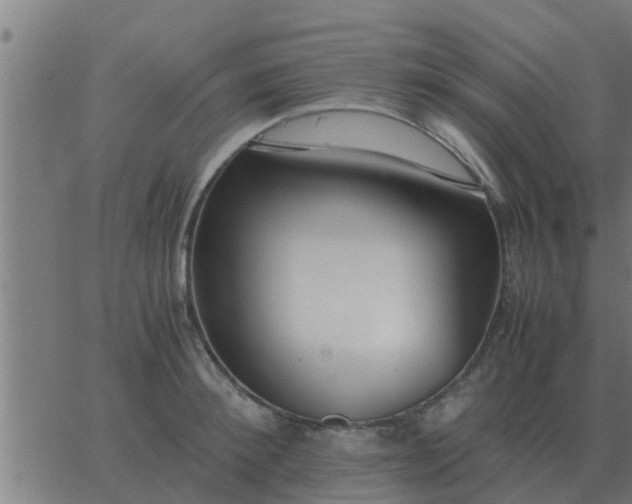 X0000062850900200601272038