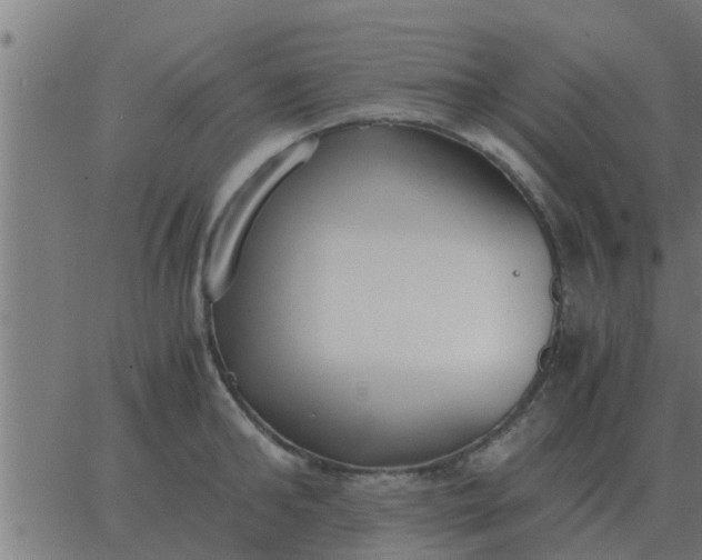 X0000062850902200601272038