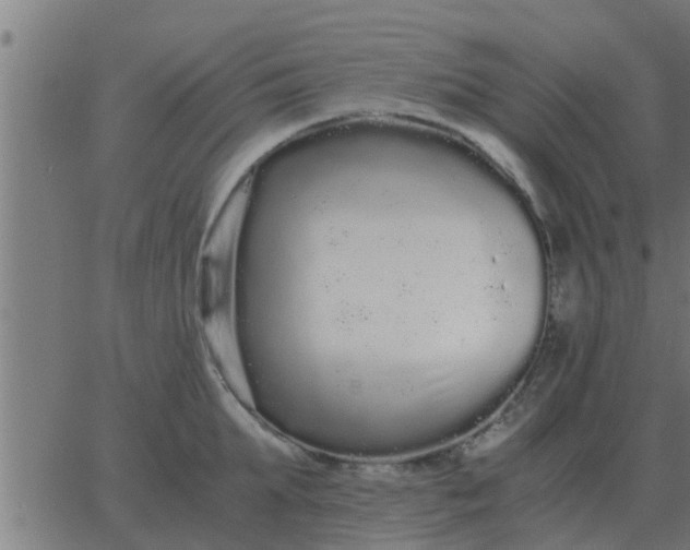 X0000062850903200601272038