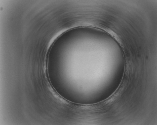 X0000062850904200601272038