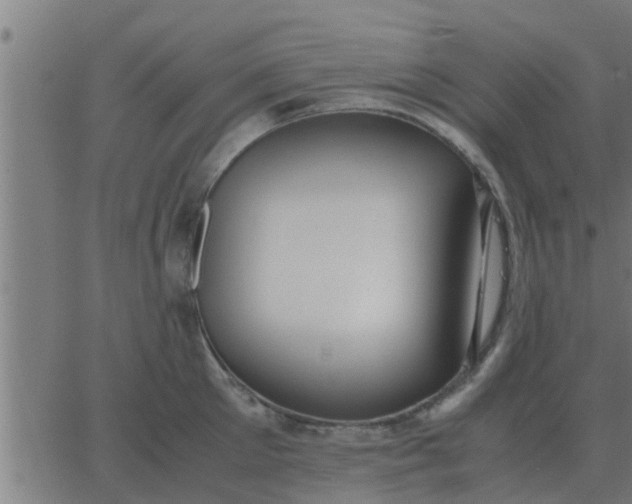 X0000062850905200601272038