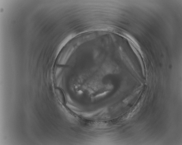 X0000062850907200601272038