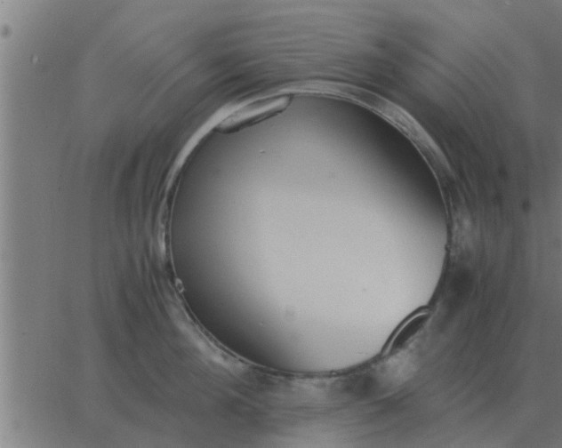 X0000062850908200601272038