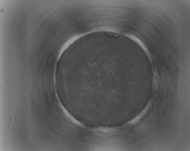 X0000062850910200601272038