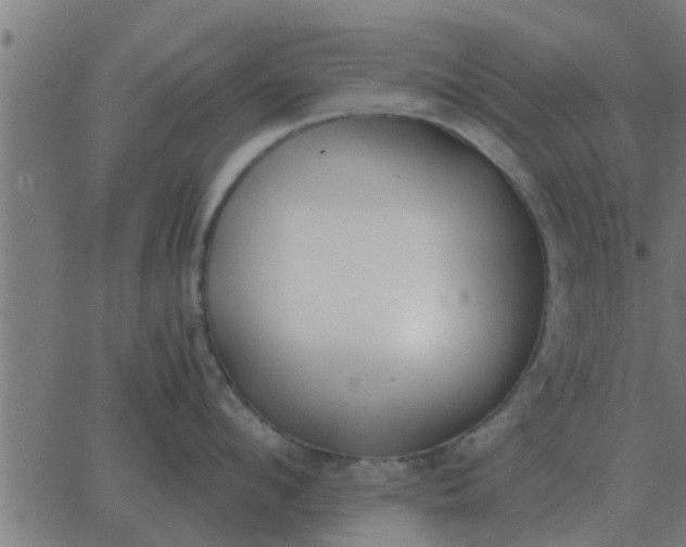 X0000062850912200601272038