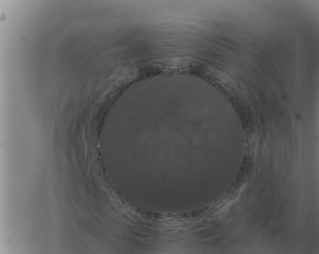 X0000062850913200601272037