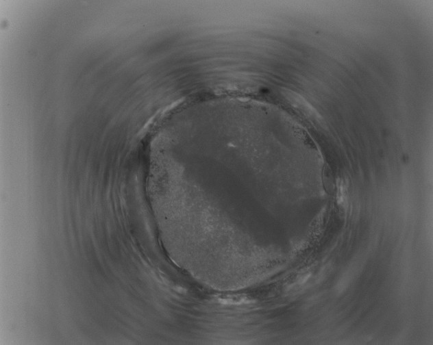 X0000062850915200601272037