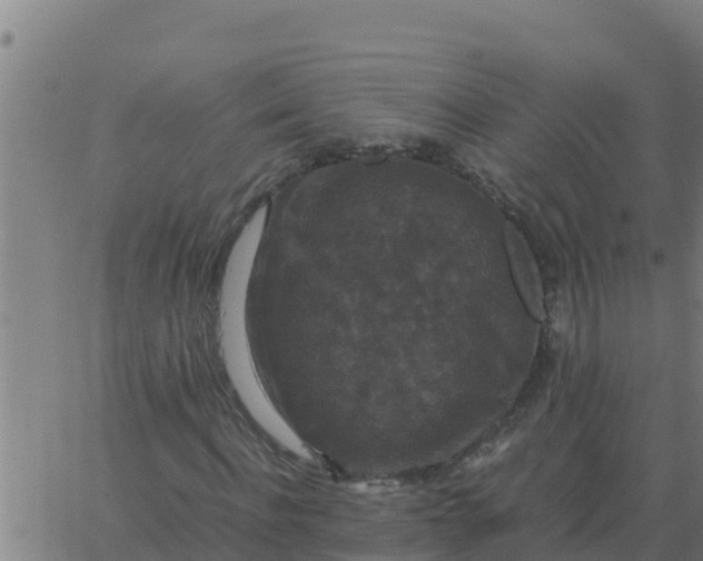 X0000062850916200601272037