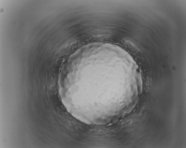 X0000062850917200601272037