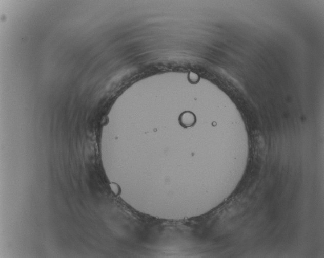 X0000062850918200601272037