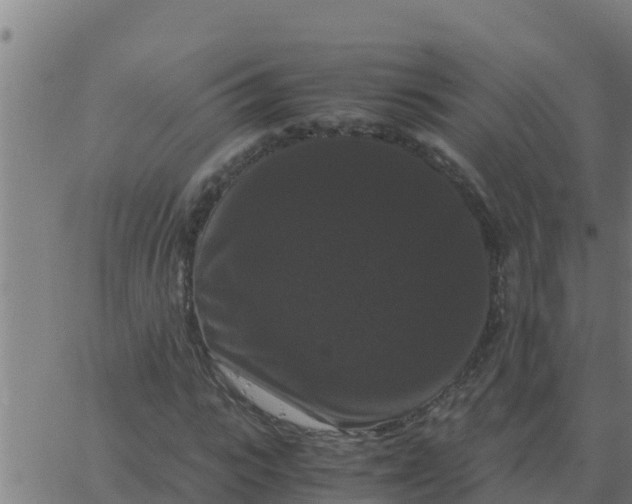 X0000062850919200601272037