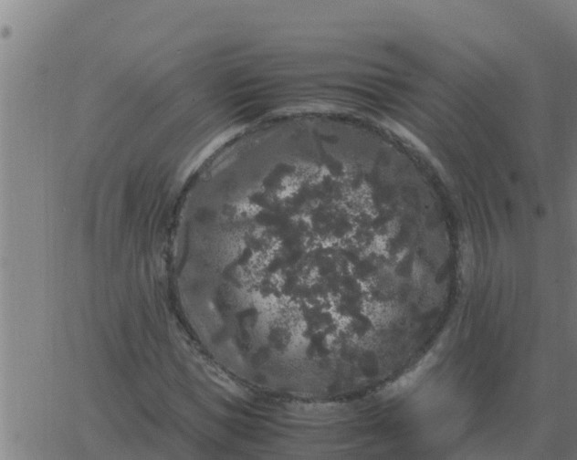 X0000062850921200601272037