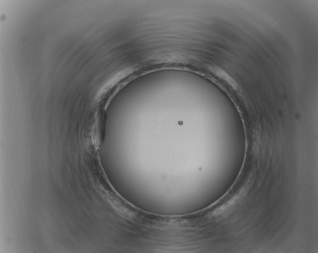 X0000062850922200601272037