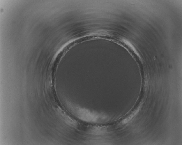 X0000062850923200601272037