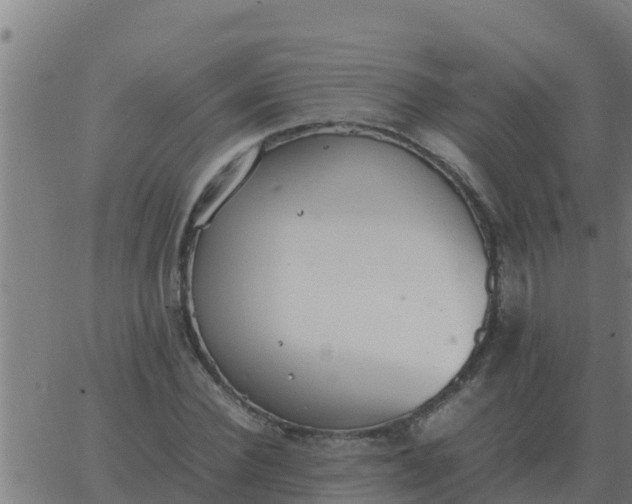 X0000062850924200601272037